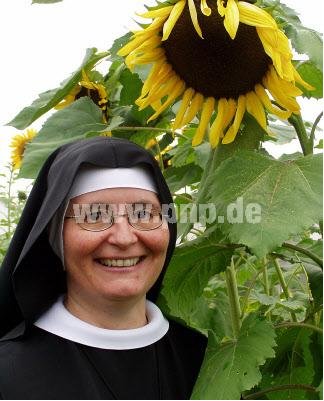 Die Sonnenblumen sind ein Symbol der Benediktinerinnen der Anbetung, die seit August von Generalpriorin Helene Binder geführt werden. (Foto: Hirtler-Rieger)
