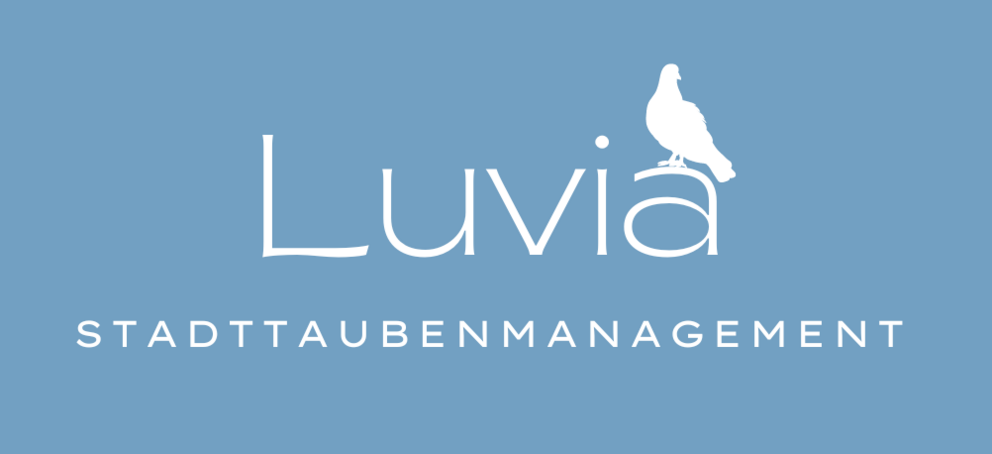 Logo mit Taube von Luvia - Stadttaubenmanagement