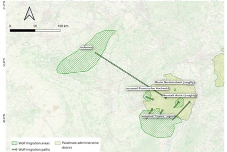 Wolfsmigration; Quelle: eigene Auswertung von AOD1845 data, OpenStreetMap, QGIS, HGIS Germany (https://hgl.harvard.edu/catalog/harvard-ghgis1848districts)