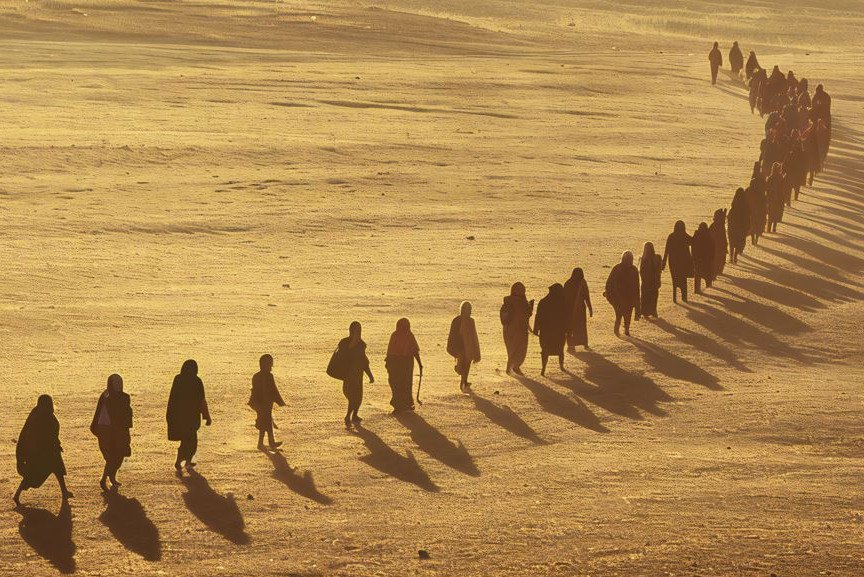 Migrationsbewegungen
