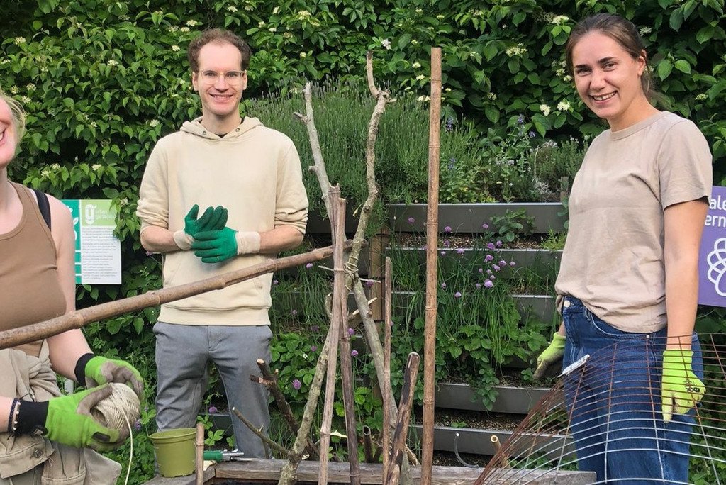 Konstruktion eines Rankgerüsts für Tomaten.