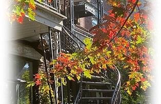 Treppe und bunte Blätter an einem Zweig 