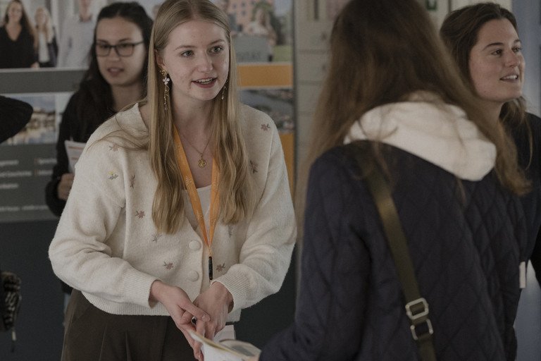 Dekoratives Bild der Kachel 'Roll-Up bersicht'