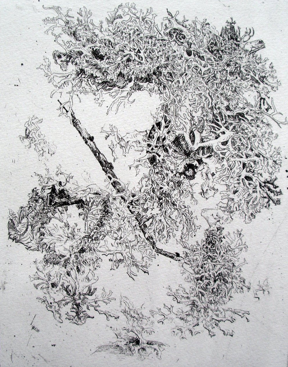 &Auml;tzradierung, 2015.
&Auml;tzradierung, 2015.