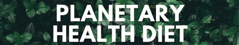 [Translate to Englisch:] Planetary Health Diet - Vortrag am 14.11.23 um 18 Uhr