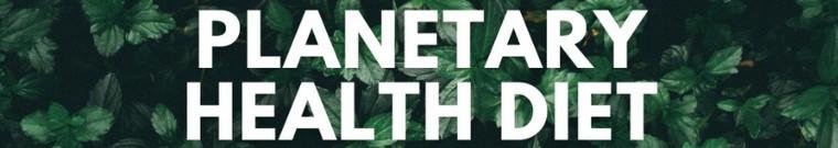 Planetary Health Diet - Vortrag am 14.11.23 um 18 Uhr