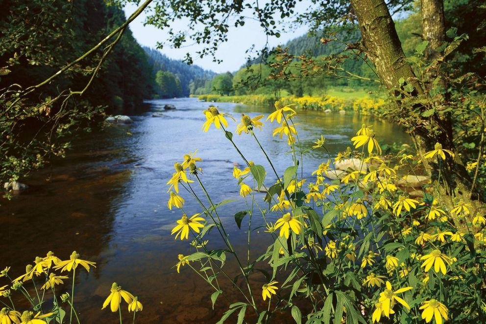 Das malerische Ilztal