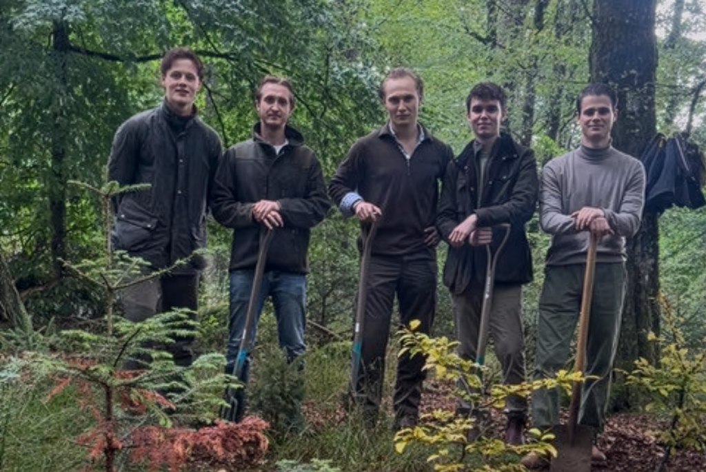 Mehrere Studenten im Wald bei einem Aufforstungsprojekt