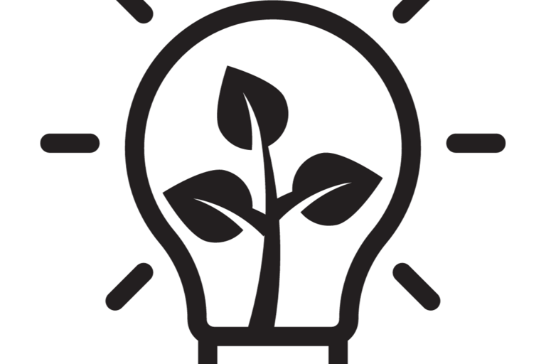 Light bulb with a plant in it