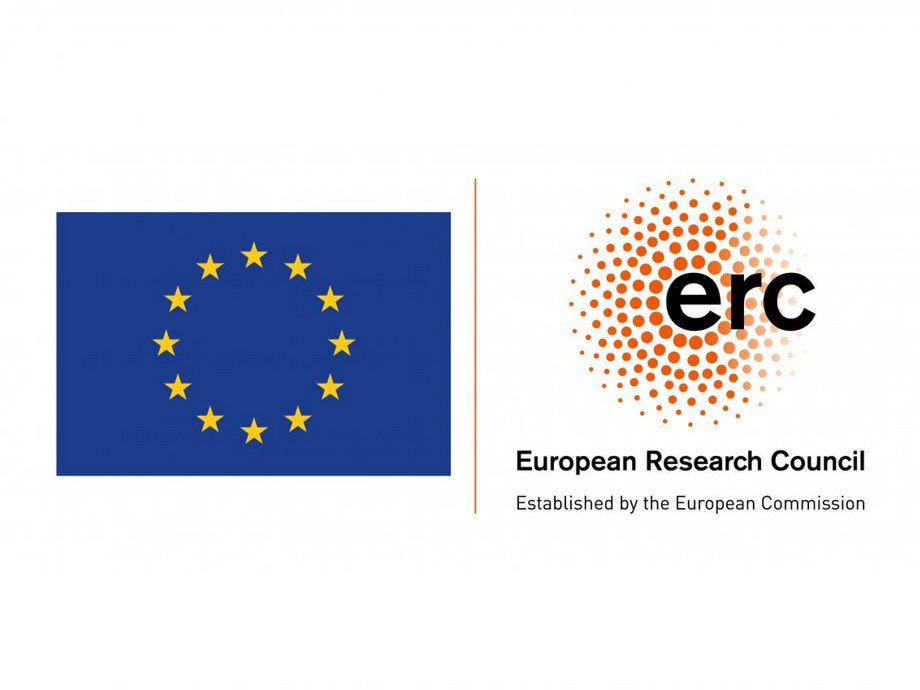 ERC Consolidator Grant RUSINFORM 2019 - 2024