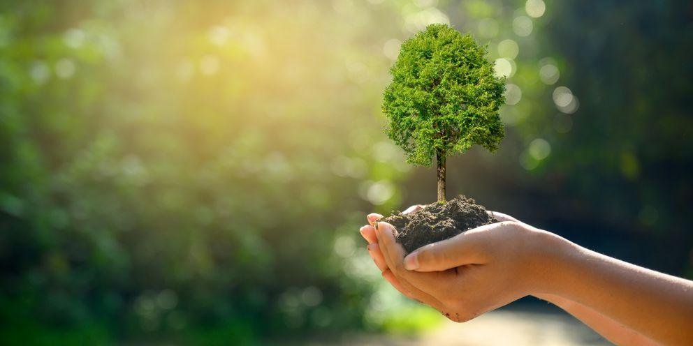 20 Jahre Institut Ethik WAW und Projektauftakt Ökosoziale Transformation