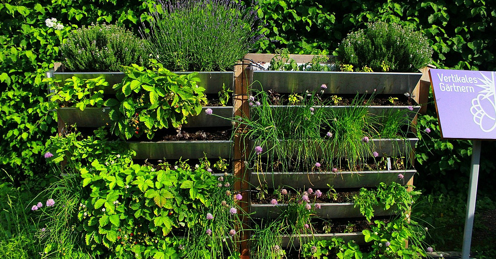 Vertikaler Garten des Urban-Gardening-Demo-Projekts an der Universität Passau