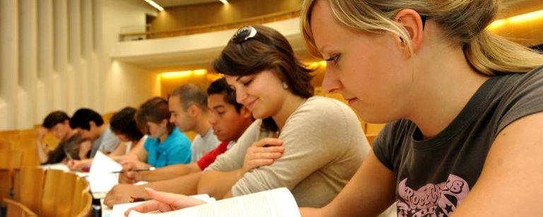 Study choices