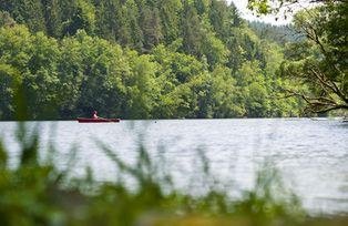 Bayerischer Wald, Quelle Tourismusverband Ostbayern e.V., Foto: Andreas Hub