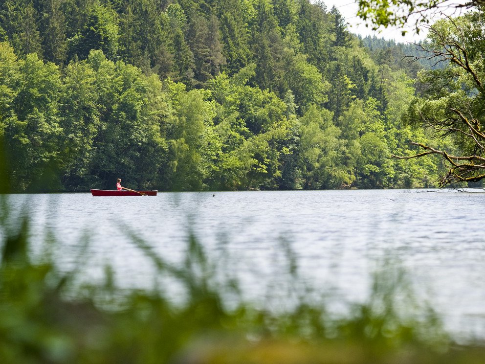 Bayerischer Wald, Quelle Tourismusverband Ostbayern e.V., Foto: Andreas Hub