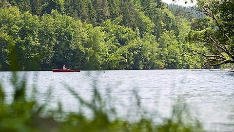 Bayerischer Wald, Quelle Tourismusverband Ostbayern e.V., Foto: Andreas Hub