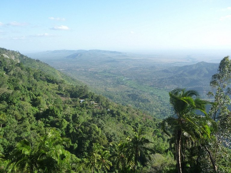 Blick von einem Bergmassiv der Taita Hills im Süden Kenias: Daten, die Prof. Dr. Schmitt hier 2018 erhoben hatte, flossen in die "Nature"-Studie ein. Foto: Schmitt