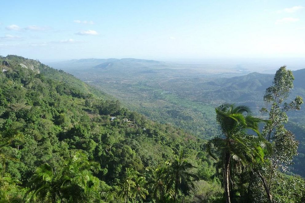 Blick von einem Bergmassiv der Taita Hills im Süden Kenias: Daten, die Prof. Dr. Schmitt hier 2018 erhoben hatte, flossen in die "Nature"-Studie ein. Foto: Schmitt