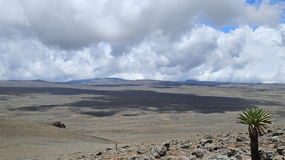 Bale Mountains Plateau; Photo: Christine B. Schmitt