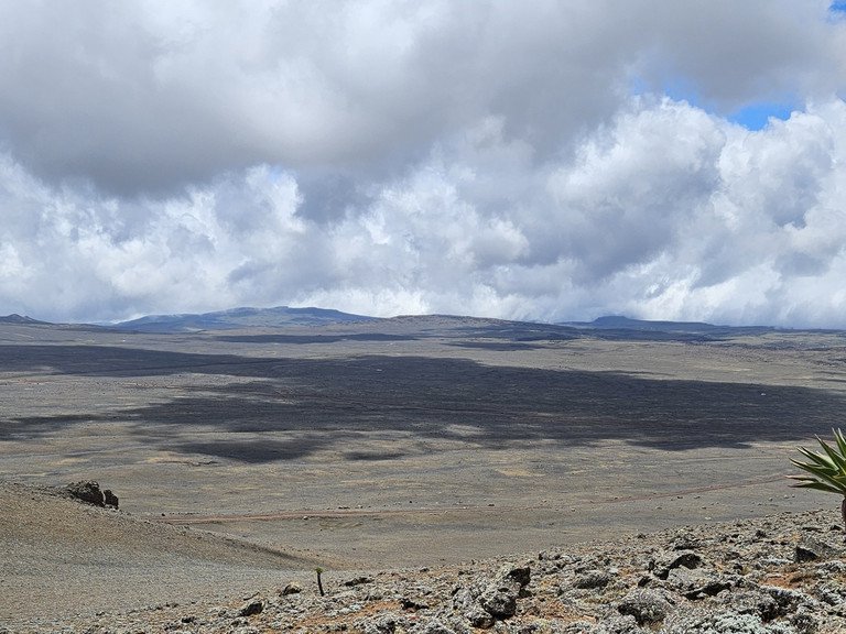 Bale Mountains Plateau; Photo: Christine B. Schmitt