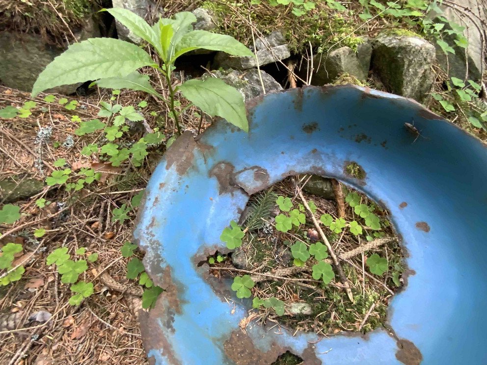 Fotos aus der deutsch-tschechischen Exkursion am 2. Juni 2022