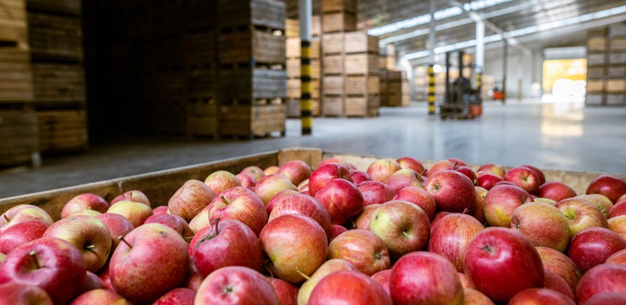 Dekobild: &Auml;pfel in einem Logistikzentrum