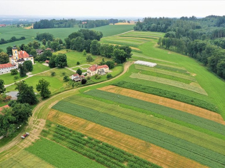 Feldlandschaft von oben 