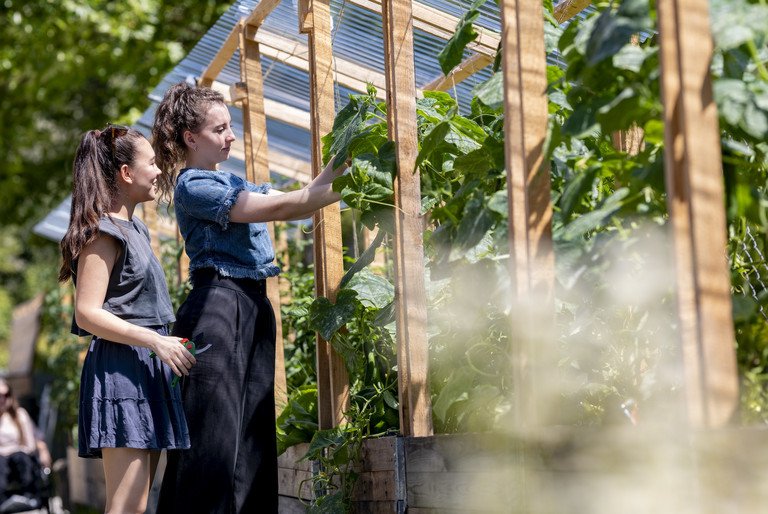 Urban Gardening an der Universit&auml;t Passau; Foto: Universit&auml;t Passau