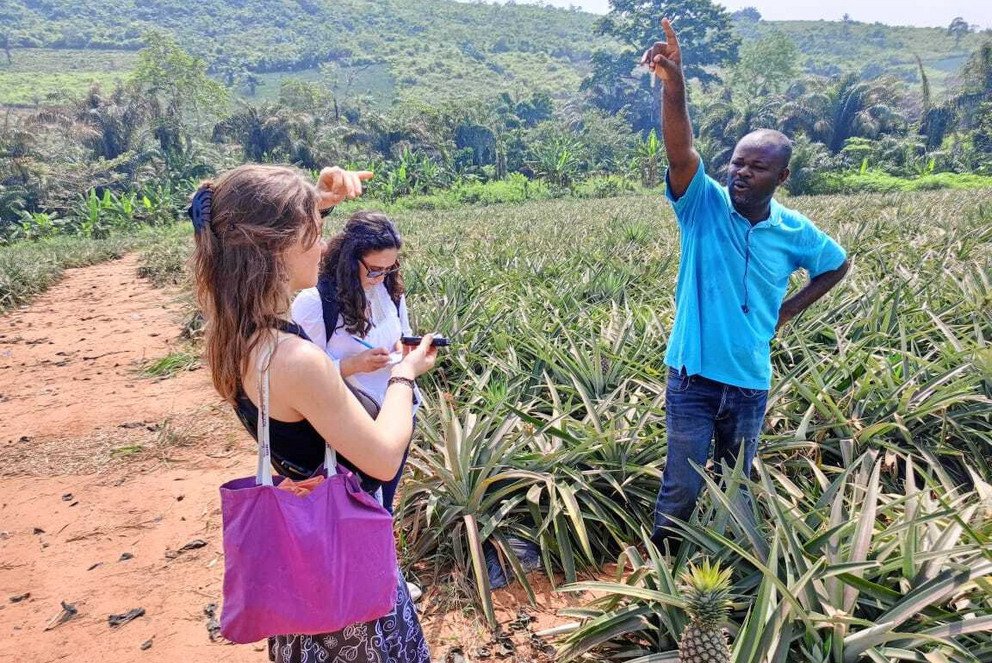 Interview in pineapple field. 