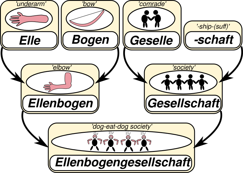 ERC-Forschungsgruppe „ProduSemy“: Mit Algorithmen der Evolution von Wortfamilien auf der Spur