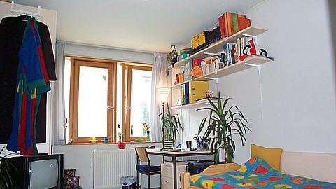 Study bedroom