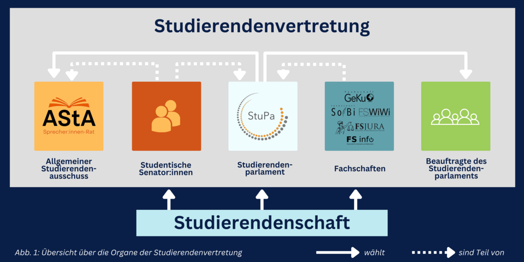 Grafische Darstellung der Organe der Studierendenvertretung
