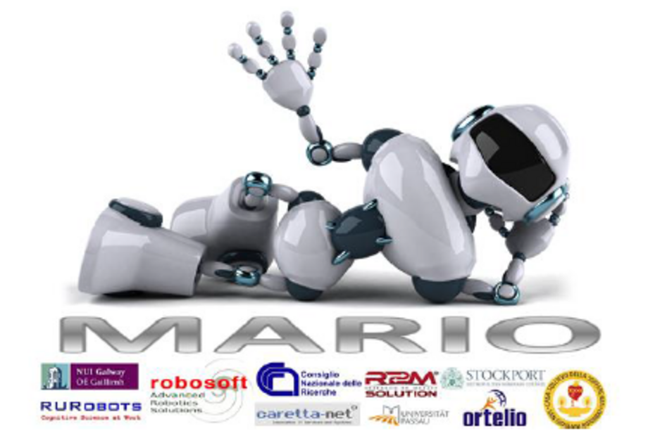 MARIO - healthy ageing with use of caring service robots