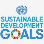 SDG Logo