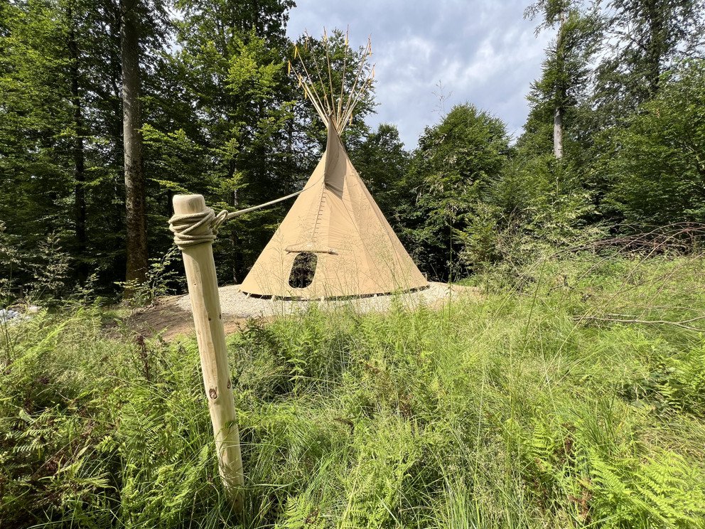 Tipi im Neuburger Wald; Foto: Universität Passau