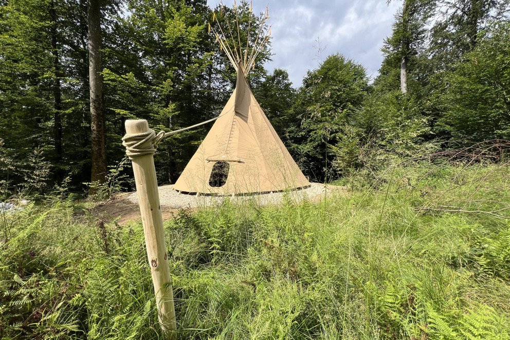 Tipi im Neuburger Wald; Foto: Universität Passau