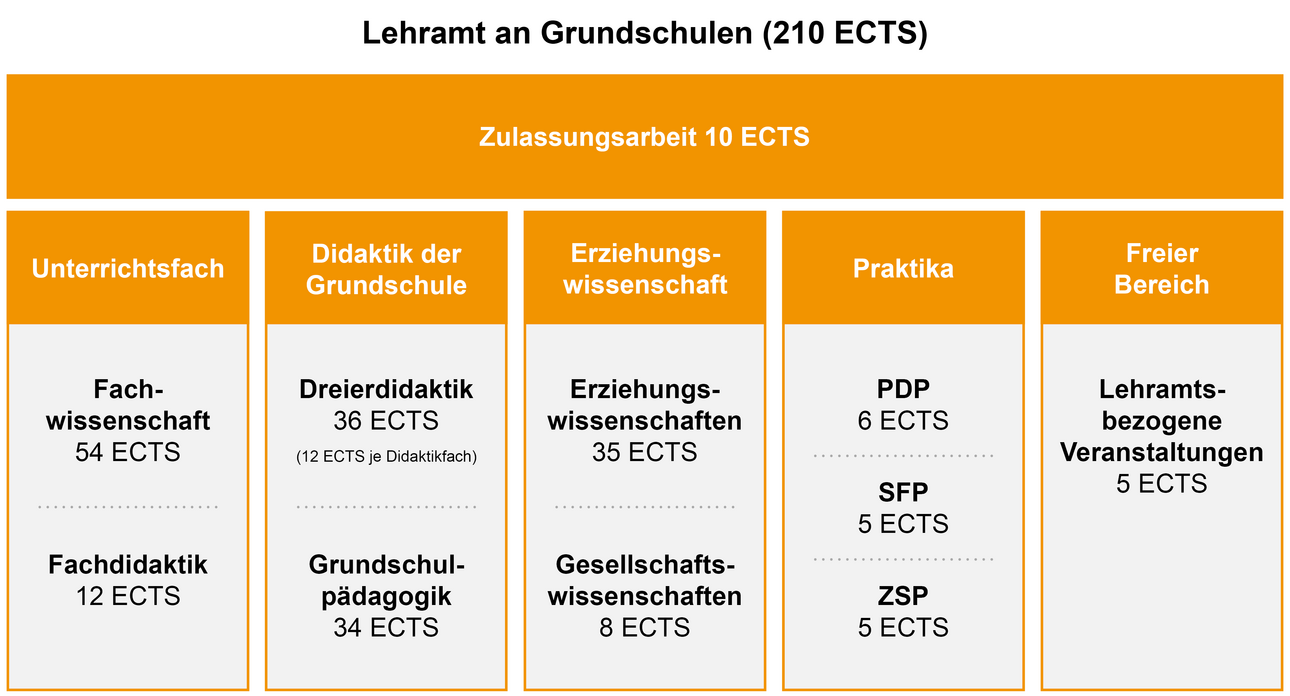 Aufbau Studiengang Lehramt an Grundschulen