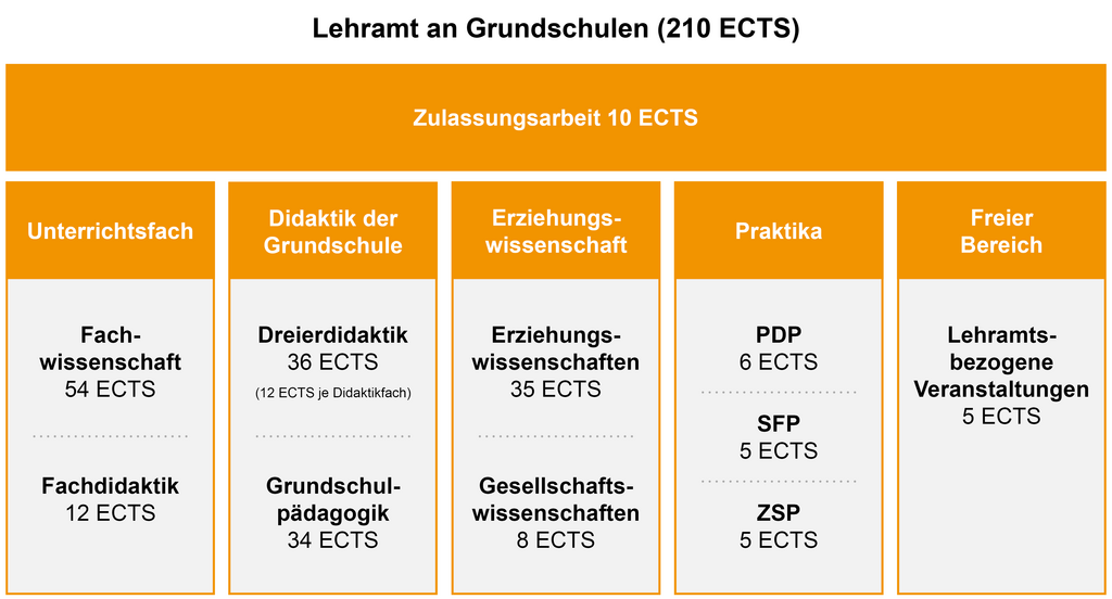 Aufbau Studiengang Lehramt an Grundschulen