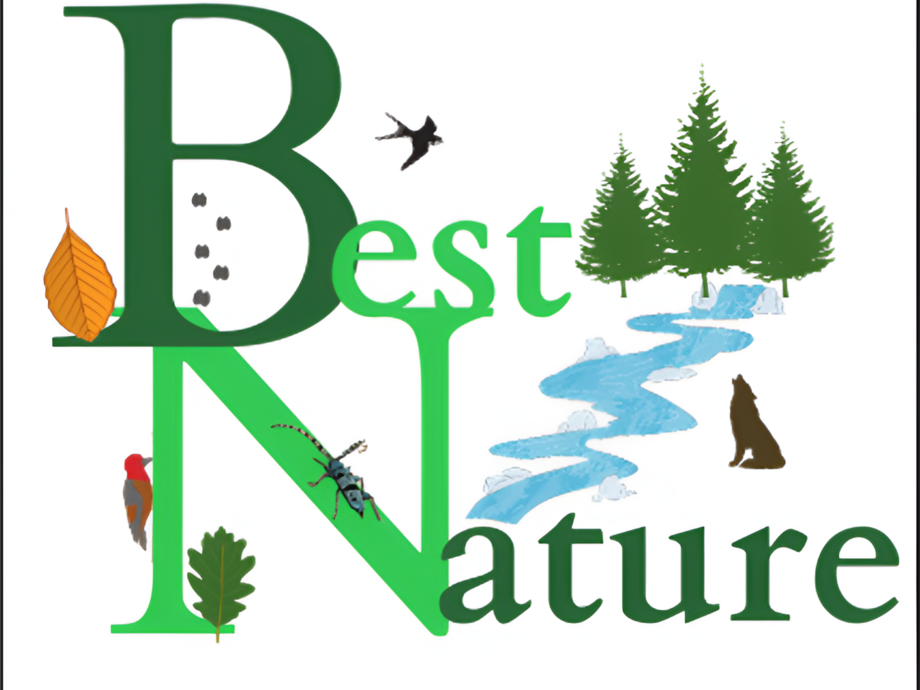 Erasmus+ project BESTNATURE: Forests in focus