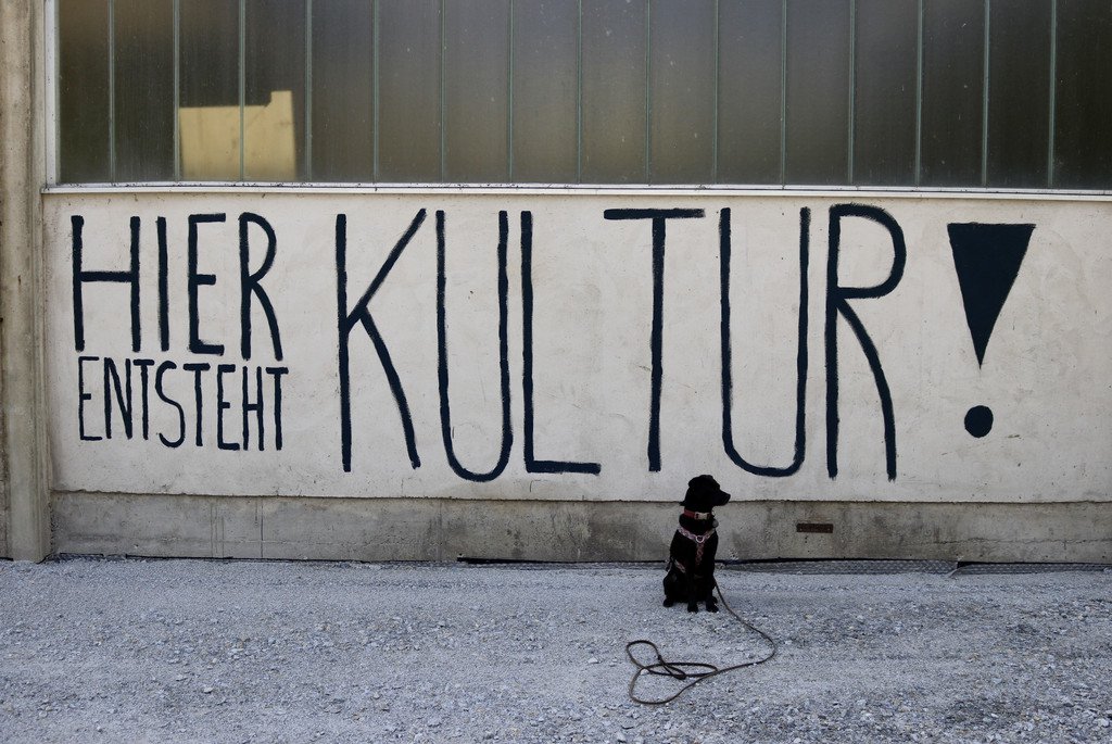 Hund vor "Kultur"-Schriftzug am Ehret-Geb&auml;ude