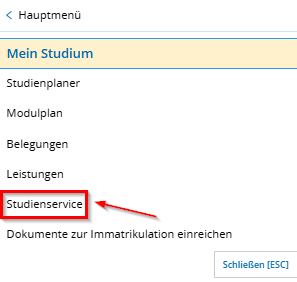 Men&uuml;punkt Studienservice