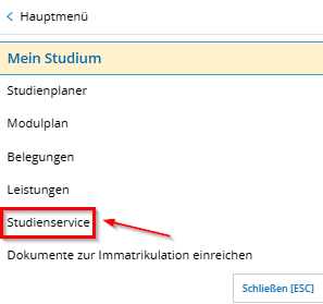 Men&uuml;punkt Studienservice