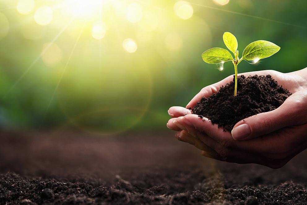 Sustainable Weeks at University of Passau