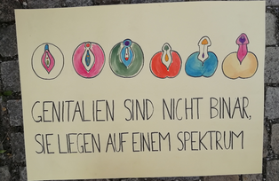 [Translate to Englisch:] Zeichnung von Genetalien, Schrifzug: Genetalien sind nicht binär, sie liegen auf einem Spektrum.