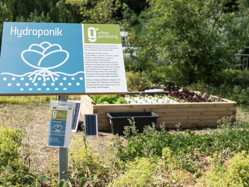 Urban Gardening auf dem Campus