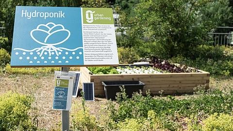 Urban Gardening auf dem Campus