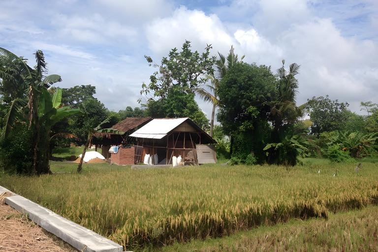 DFG Organic Farming project keys to success for organic farming in Indonesia