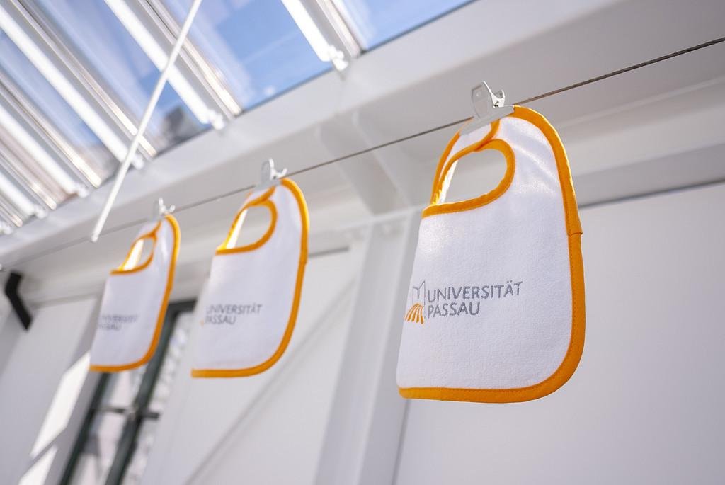 Optimale Vereinbarkeit von Familie und Beruf an der Uniiversität Passau