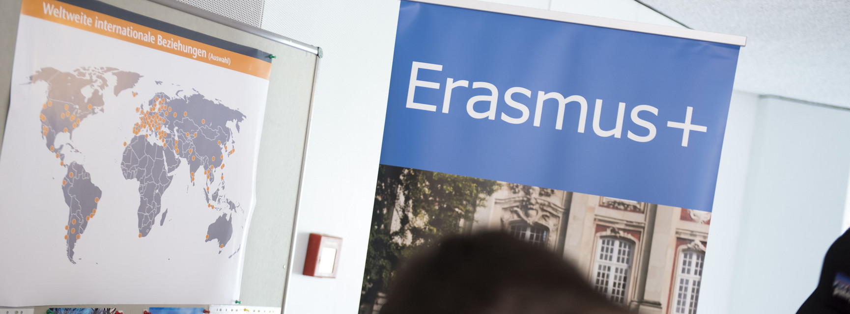 Dekoratives Bannerbild