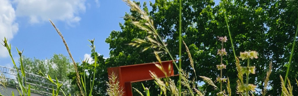 Bl&uuml;hwiese am Campus